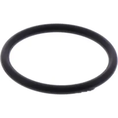 Anlasserdeckeldichtung O-Ring Originalersatzteil 5VVH182L00