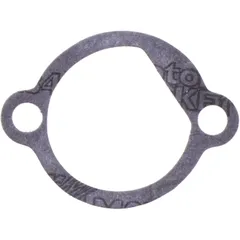 Dichtung für Steuerkettenspanner Athena 7344841
