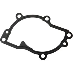 Dicht water pump cover (orig spare part) 975833