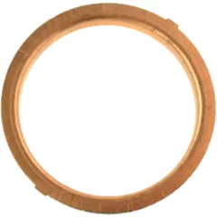 Exhaust gasket (orig spare part) 976534