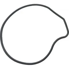 Siegel Dichtung Wasserpumpe Deckel Originalersatzteil 976553