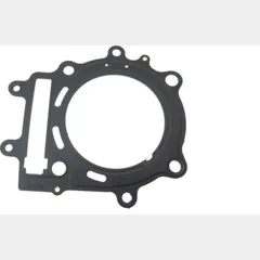 Siegel Zylinderkopfdichtung Originalersatzteil 976555