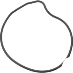 Siegel Dichtung Wasserpumpe Deckel Originalersatzteil 976561