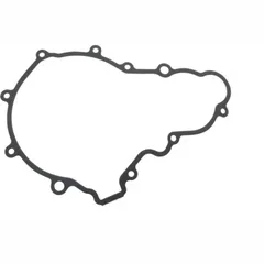 Alternator cover gasket (orig spare part) 976622
