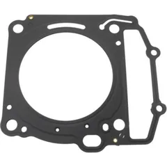 Cylinder head gasket (orig spare part) 976653