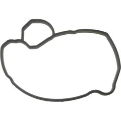 Siegel Dichtung Wasserpumpe Deckel für: Husqvarna Original 976685