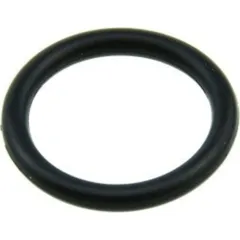 O-ring 979905