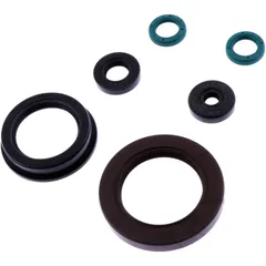 OIL SEAL KIT for Motorcycles 7345716