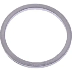 Dichtring 248606