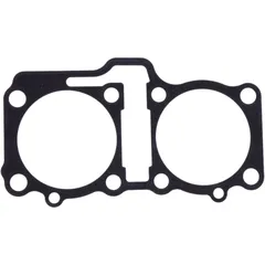 Cylinder Base Gasket for Motorcycles 7346151
