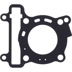 Cylinder head gasket (orig spare part) 1036279