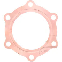 Zylinderkopfdichtung Originalersatzteil für Motorräder 7346181