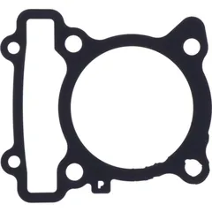 Cylinder base gasket (orig spare part) 1036302