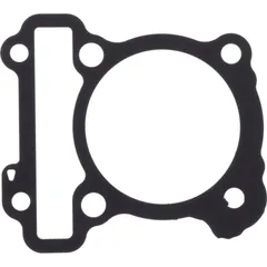 Cylinder base gasket (orig spare part) 1036312
