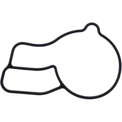 Wasserpumpe Deckel Dichtung für Motorräder