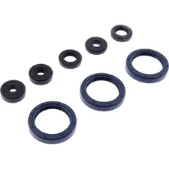 Shaft seal set athena P400250400071