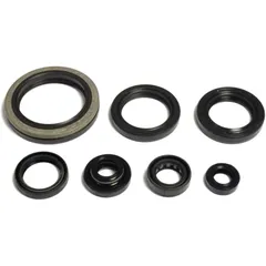 Wellendichtring Satz für Motoren 7346606