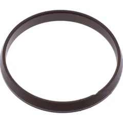 Intake gasket (orig spare part) 1074170