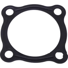 Oil strainer gasket (orig spare part) 1102199