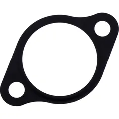 Dichtung Steuerkettenspanner Originalersatzteil Alternative: 7346424 passend für: Honda CRF, Cota, FJS