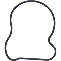 Water pump cover gasket oe spare part 1109084