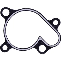 Wasserpumpendeckeldichtung für Motorräder 7347449