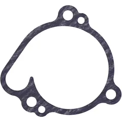 Dichtung Wasserpumpe Deckel Originalersatzteil 1109178