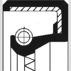 Shaft seal 12000748B