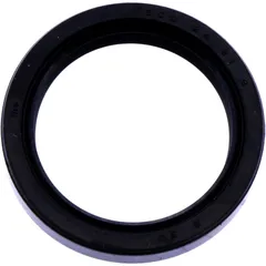 Wellendichtring 24x31x5mm für Motorräder