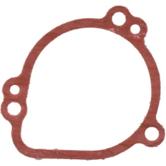 ALTERNATOR COVER GASKET (OE SPARE PART) 7900