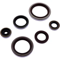 Oil seal kit ATHENA for: Beta RR 7348073