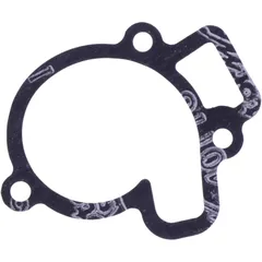 Dichtung Wasserpumpe Deckel Originalersatzteil passend für: Beta Evo, REV3 7348353