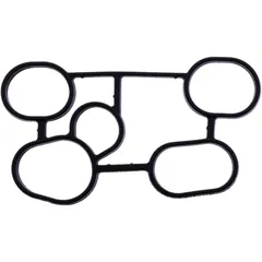 Heat exchanger gasket (OE spare part) for: BMW F (800, 650, 700)