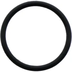 O - Ring 2X21. 5 mm Originalersatzteil passend für: BMW G