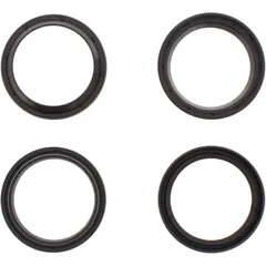 Gabeldichtring Satz All Balls Racing 46X58X10 mit Staubkappe passend für: Sherco Supermotard, Enduro