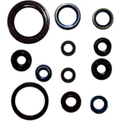 Engine oil seal kit for: Aprilia RXV, SXV