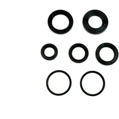 Engine oil seal kit for: Aprilia SR, Habana, Habana/Mojito, Suzuki UF