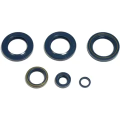 Engine Oil Seal Kit for Motorcycles 7355712