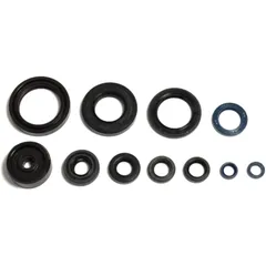 Oil Seal Kit for Motorcycles