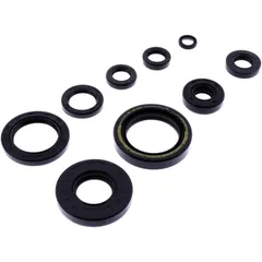 OIL SEAL KIT for Motorcycles 7356355
