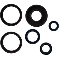 Engine oil seal kit P400220400252