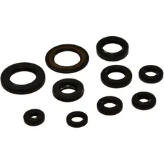 ENGINE OIL SEAL KIT for Tourmax