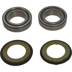 Headstock bearing kit 221067