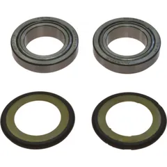 Headstock bearing kit 221059