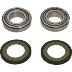 Headstock bearing kit 221032
