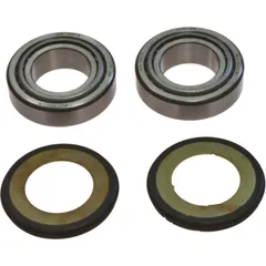 Headstock bearing kit 221024