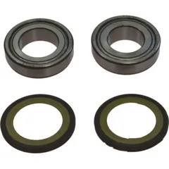 Headstock bearing kit 221005