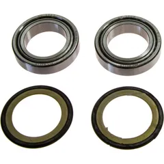 Headstock bearing kit 221031