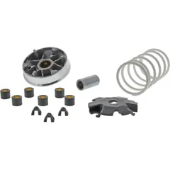 VARIOM TUNING Malossi 5113139