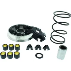 VARIOM TUNING Athena P400480110010